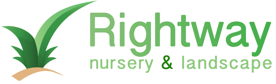 Rightway Nursery